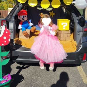 Cosplay Quality Princess Peach costume